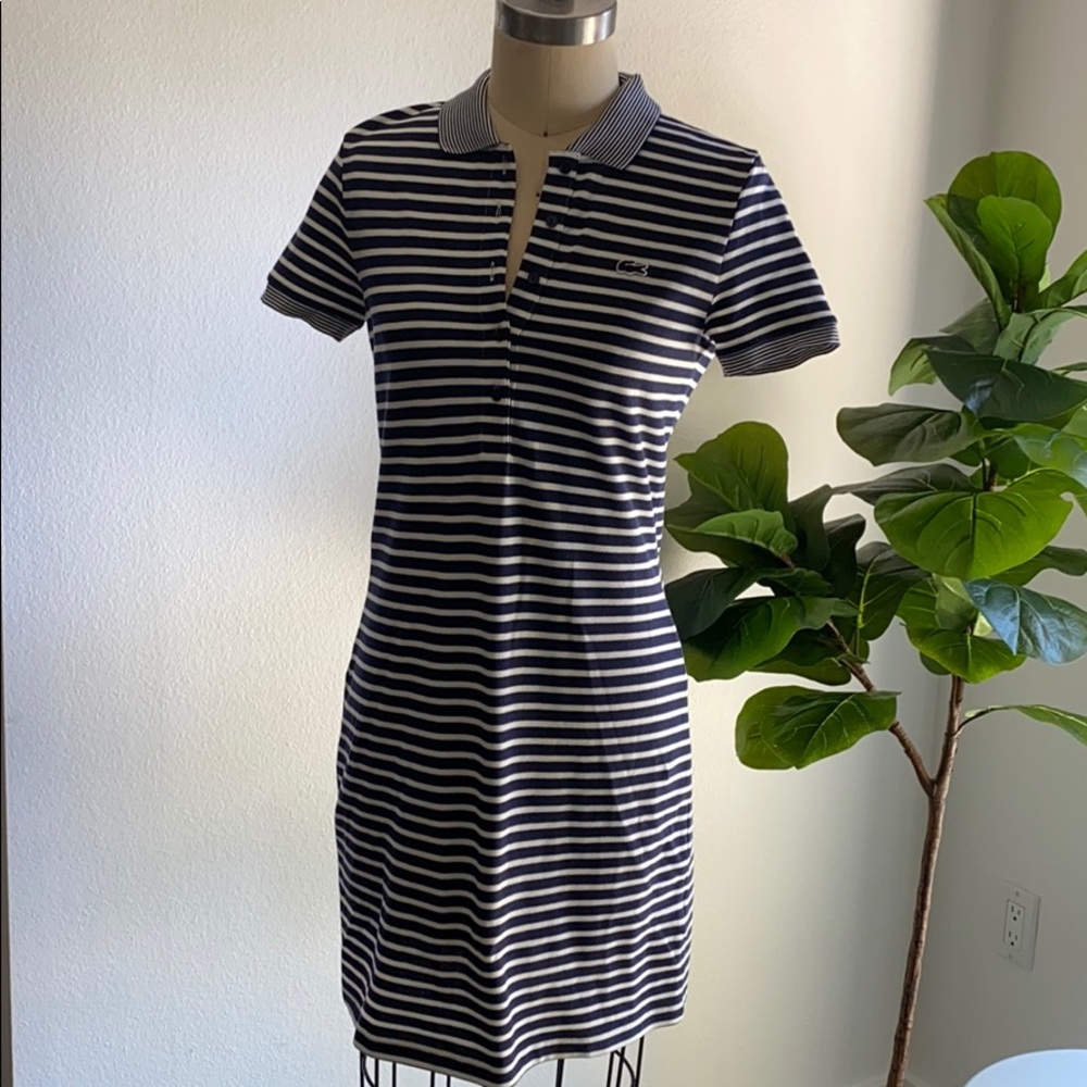 Lacoste shirt dress